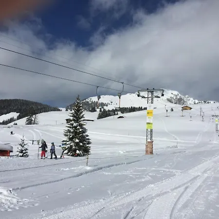 Jaunpasscabin Apartmán Zweisimmen
